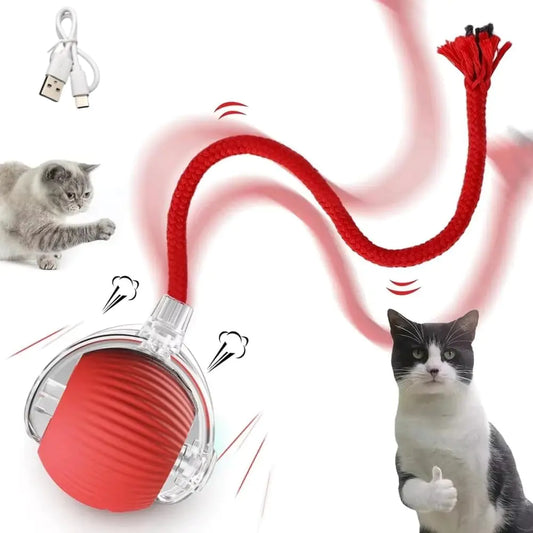 Interactive Rolling Cat Toy